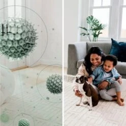 Shark - Rotator With PowerFins HairPro And Odor Neutralizer Technology Upright Vacuum - Charcoal 20 Shark - Rotator With PowerFins HairPro And Odor Neutralizer Technology Upright Vacuum - Charcoal -Techhome Appliances Store 26c99815 74a8 5115 addc 4973b42d9960