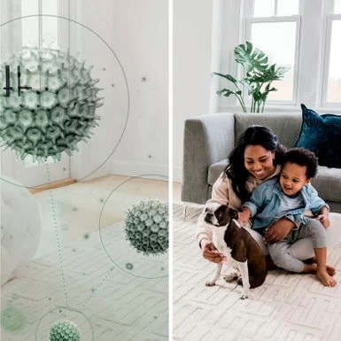 Shark - Rotator With PowerFins HairPro And Odor Neutralizer Technology Upright Vacuum - Charcoal 8 Shark - Rotator With PowerFins HairPro And Odor Neutralizer Technology Upright Vacuum - Charcoal - Image 6