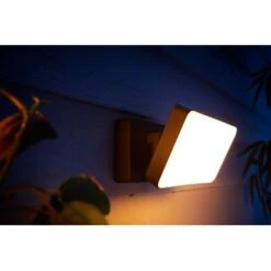 Philips - Hue White Welcome Outdoor Floodlight - Black -Techhome Appliances Store 5aafce74 04a4 5977 8b58 40fd9666f7b5